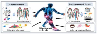 Regulating Gut Microbiome: Therapeutic Strategy for Rheumatoid Arthritis During Pregnancy and Lactation